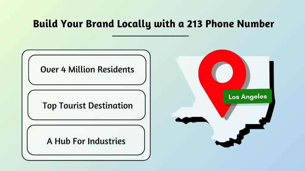 Build brand 213 number