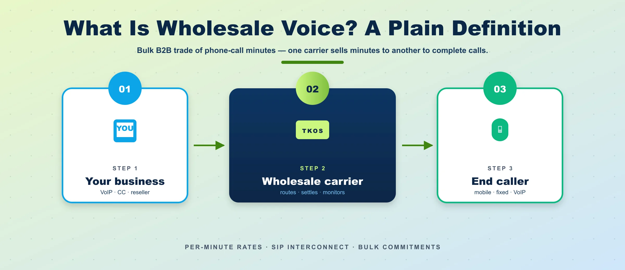 wholesale voice definition