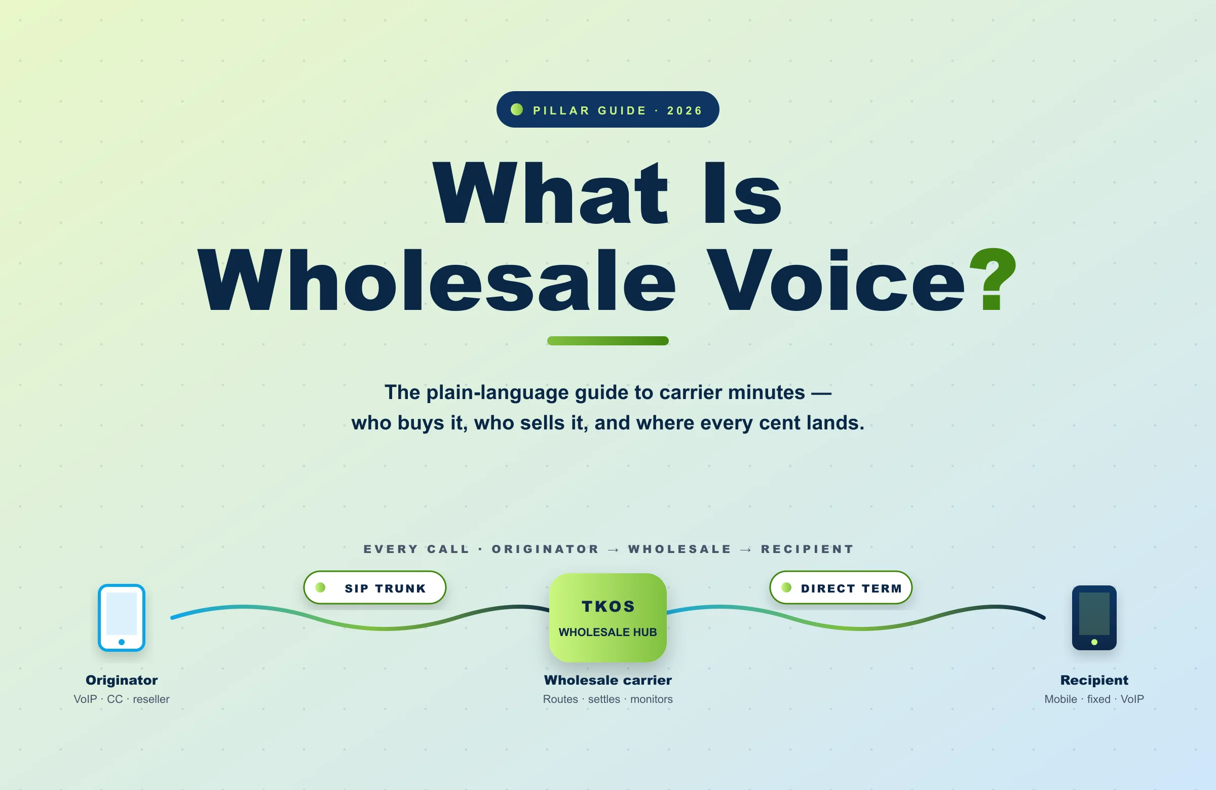 wholesale voice explained