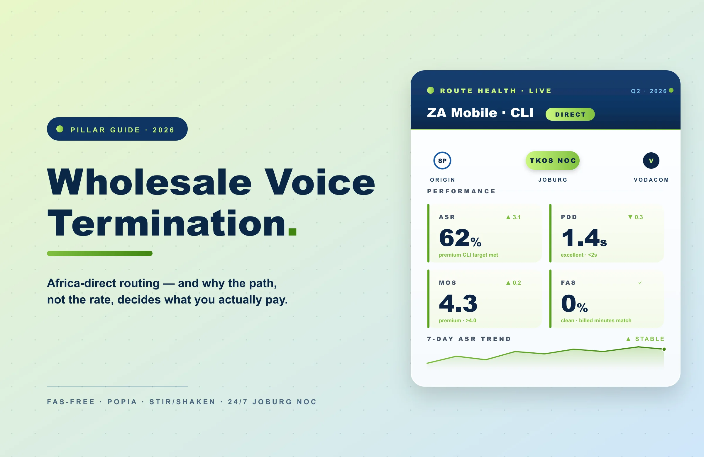 wholesale voice termination