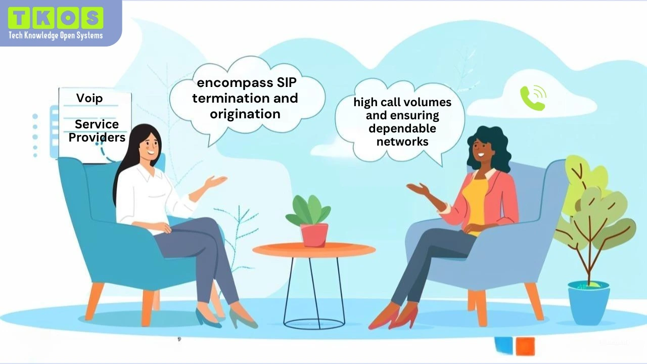 What is Wholesale VoIP?