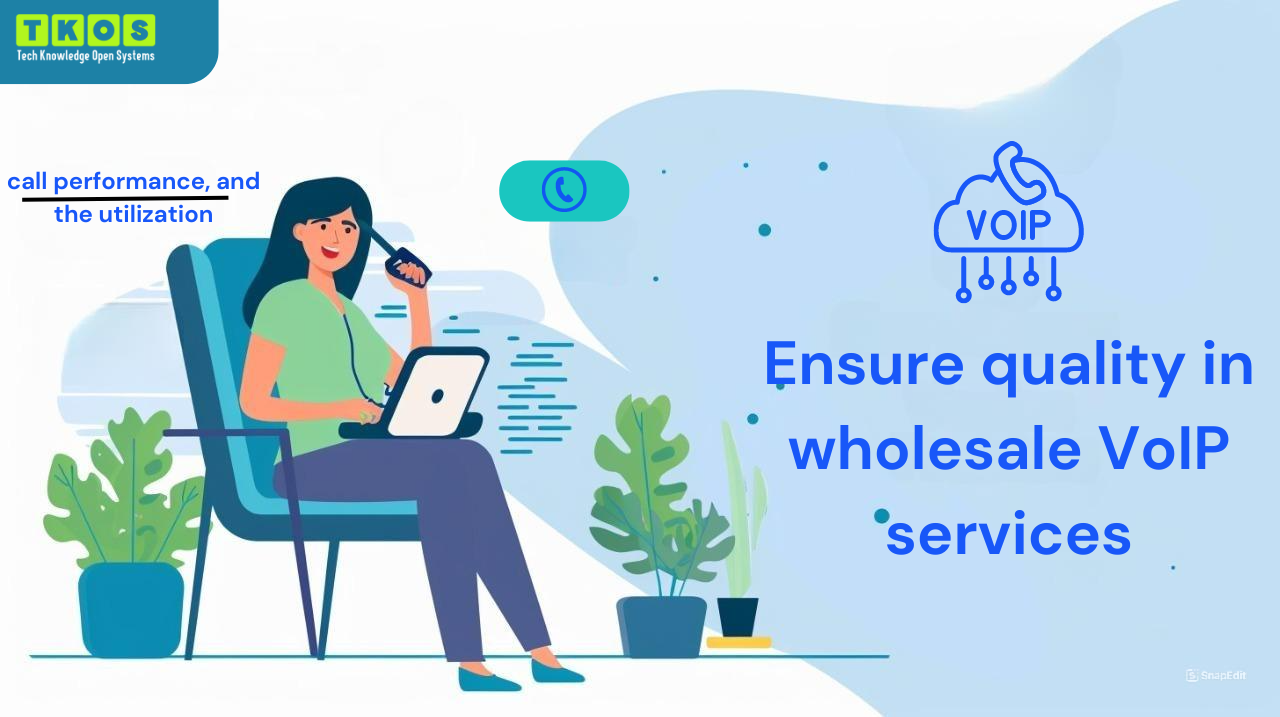 How to ensure quality in wholesale VoIP services?