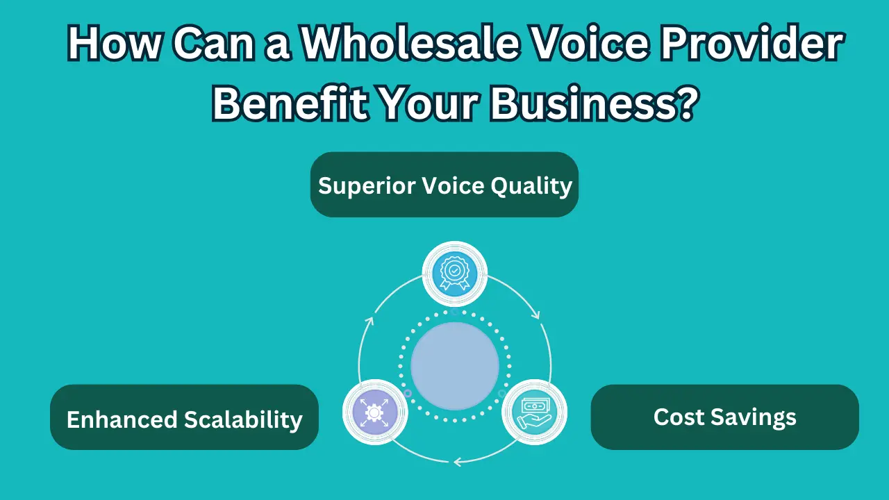 How Can a Wholesale Voice Provider Benefit Your Business?