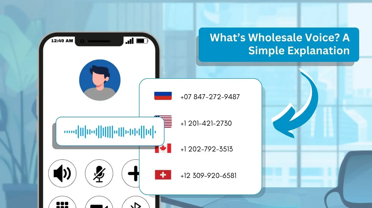 What’s Wholesale Voice? A Simple Explanation