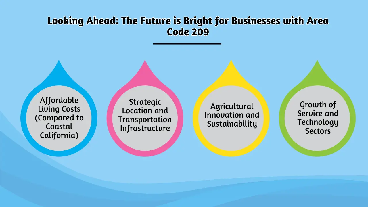 Dispelling Myths and Highlighting Facts_ Understanding the Real 209 Area Code
